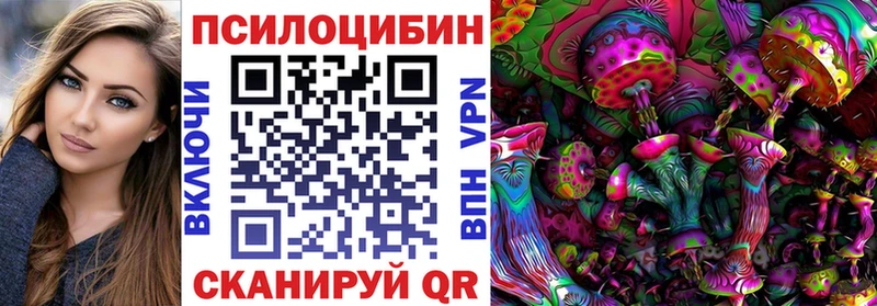 Псилоцибиновые грибы мицелий  купить наркоту  Бирск 